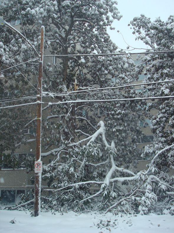 Snowmageddon! (show your pics) : wedding DSC05850