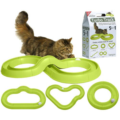 I just bought this toy for my 3 yo cat... anyone else have the same thing? :  wedding cat kitty cat toy bergan turbo track amazon cosmic catnip alpine scratcher bergan starchaser BER TurboTrackCat