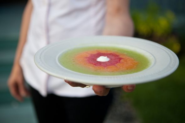 Wedding Food Suggestions Please!! :  wedding food reception appetizers meals entree GabRonWed 489
