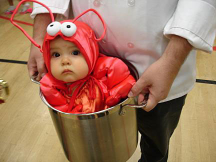 Does your city/state/region have any famous regional foods? :  wedding Baby Lobster