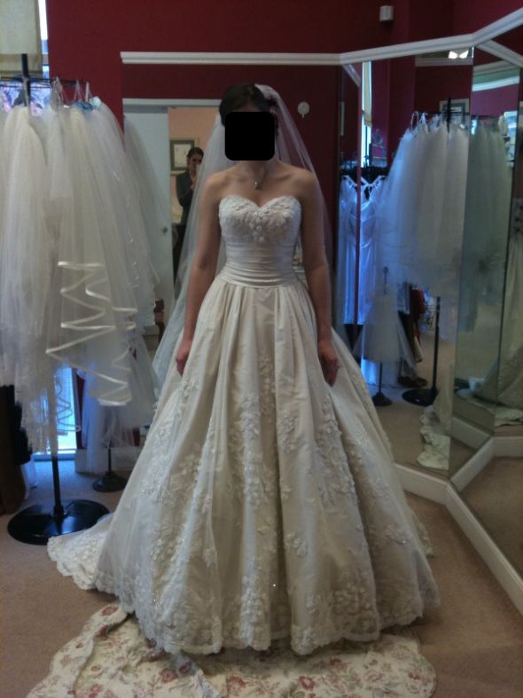 How many Wedding Dresses did you buy before finding the one? :  wedding dream dress dress how many dresses brides Photo 10s