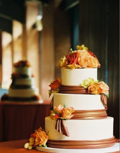 Cake Inspiration...share yours! : wedding Cake Like