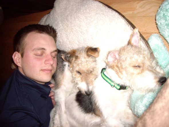 Pics of sleeping furbabies! : wedding Sleepy Resize
