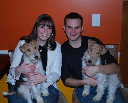 Did anyone else get their dog from a breeder? :  wedding dog breeder Happyfamily Small