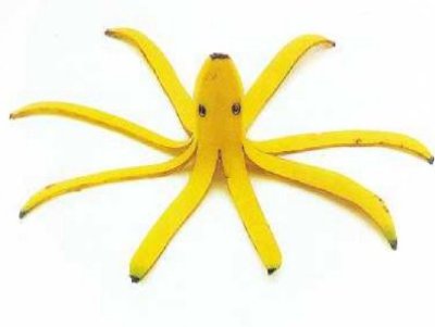 Octopus Icon Fan Club :  wedding octopus fan club Mr Bananapus