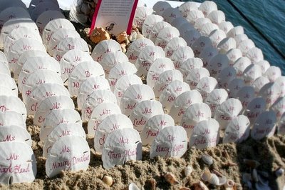Non-traditional escort cards : wedding Seashells