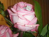 Any bee's with a halo setting? :  wedding Ring In Pink Rose