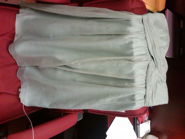One of my bridesmaids dresses came in today!!! :  wedding IMG01147 20110413 1023