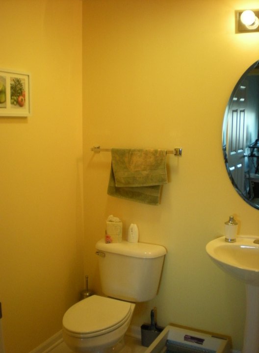 Help me decorate my bathroom! :  wedding 26900 10100141080490485 12406634 54921790 2093012 N