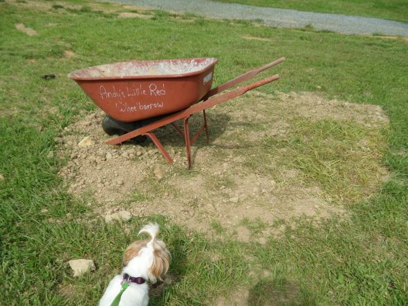 Yard & Deck Improvements so far ...PIC HEAVY :  wedding Reamins Of The Pile Or Dirt We Moved And Broken Wheelbarrow