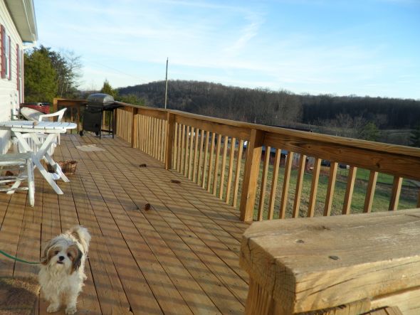 Yard & Deck Improvements so far ...PIC HEAVY :  wedding SAM 1777
