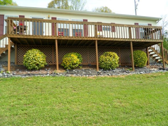 Yard & Deck Improvements so far ...PIC HEAVY :  wedding With Bushes And Lattice