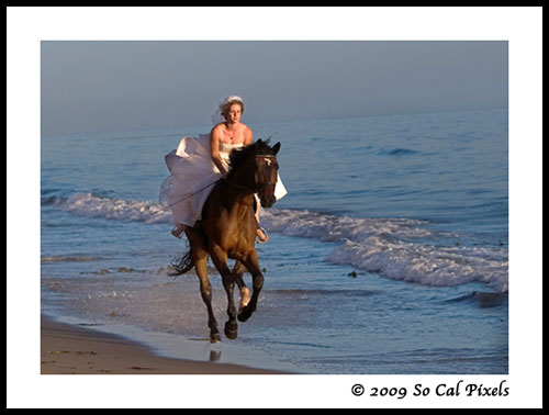 Will you trash your dress? :  wedding 0201 Tisa 2009 04 17