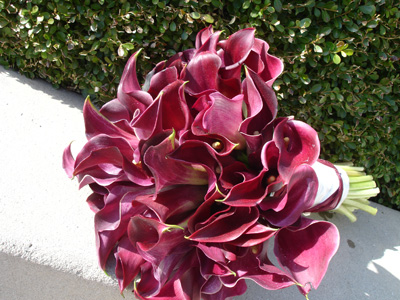 What color is your bridal bouquet? :  wedding Burgundycallas