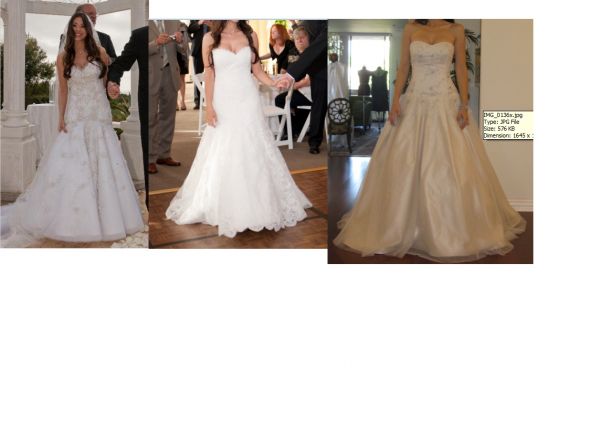 Please help me figure out which dress silhouette is best for me! :  wedding dress enzoani blue dabra lace tulle silhouette petite Collage