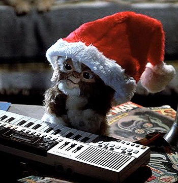Cats against Weddingbee! : wedding Gizmo