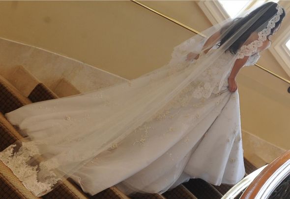 How much did your veil cost??? :  wedding Lz14