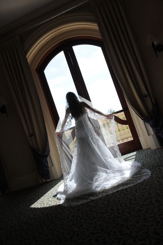 What are your ten favorite pro photos that express your day? :  wedding Pic0