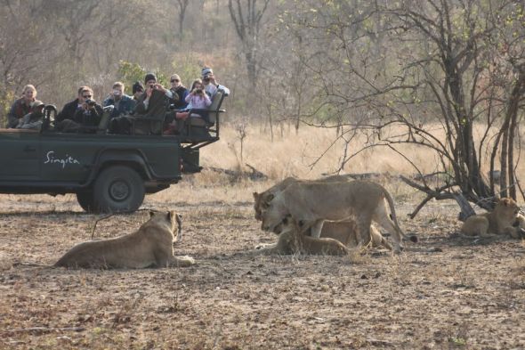 Honeymoon recap part 1: Safari time! Insanely pic heavy :) :  wedding Honeymoon 322