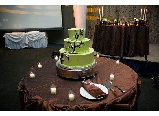 Green BrownChicago wedding linen table cloths brown gold GOLD chargers 