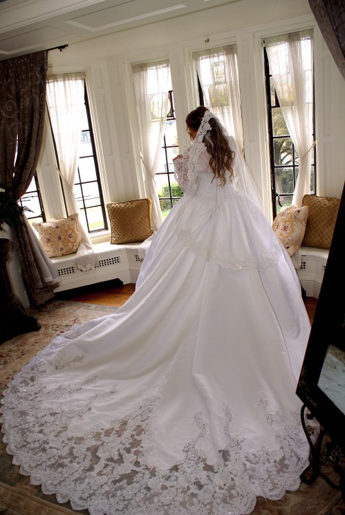 Can I see you in your dress? :  wedding dress 24