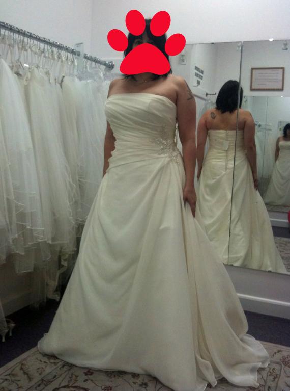 Enzoani or Blue by Enzoani Brides :  wedding enzoani etawah blue mermaid My Dress 2
