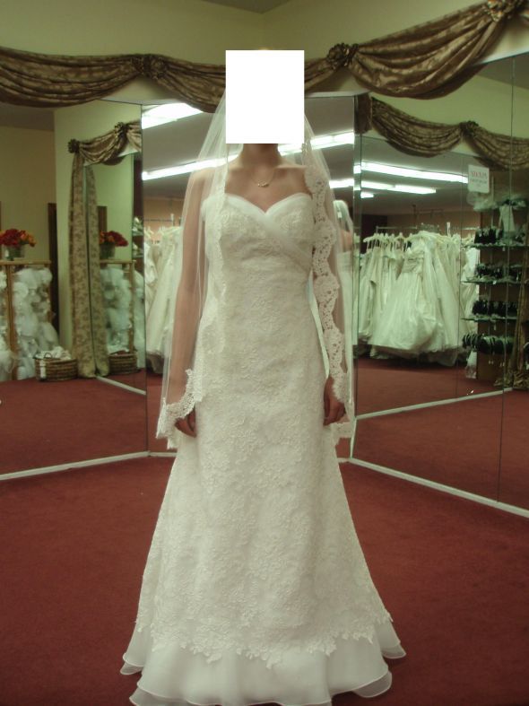OK Ladies! Need to pick top dress...Need your help! : wedding Dress 1 Veil Faceless