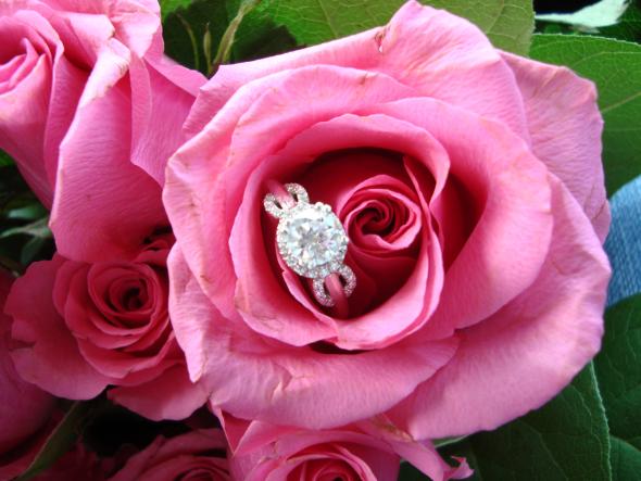 Reader Ring Shots 2010, Part 2 :  wedding features rings DSC00161 DSC00161 