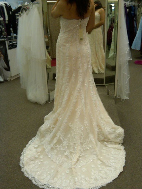 My Dress! Pics! :  wedding Dressback