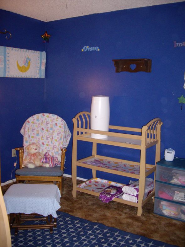 Bees with babies- Share pictures of their rooms! :  wedding IMGP1510
