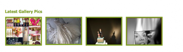 Does the Weddingbee gallery grid show up for you? Please help us out! :  wedding Gallery