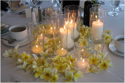 destination wedding centrepiece - I need some ideas! : wedding destination wedding centrepiece ideas Plumeria