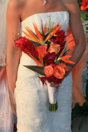 finally picked my dresses! :  wedding Sunkissedweddings