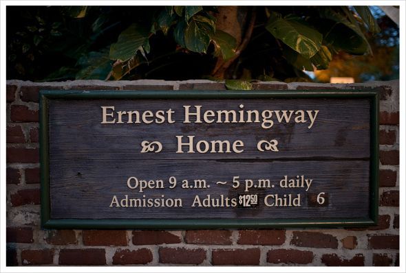 Anybody marry at the Hemingway House in Key West? :  wedding 0004