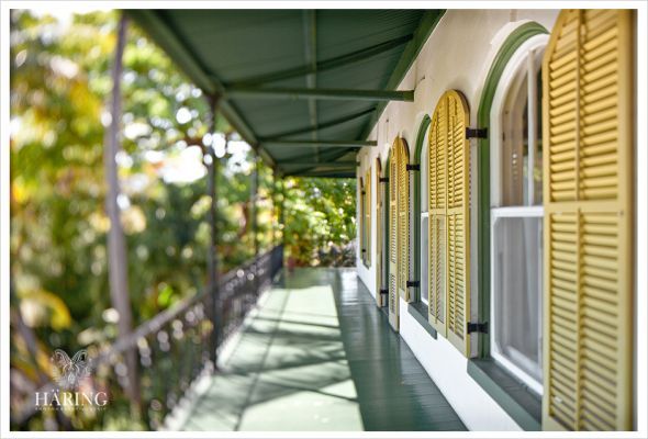 Anybody marry at the Hemingway House in Key West? :  wedding 0005