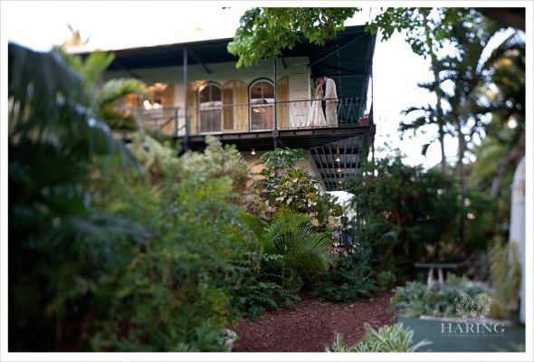 Anybody marry at the Hemingway House in Key West? :  wedding 0016