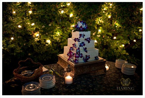 Anybody marry at the Hemingway House in Key West? :  wedding 0020