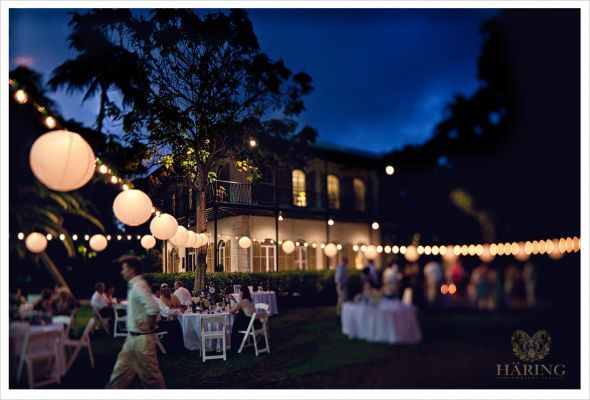 Anybody marry at the Hemingway House in Key West? :  wedding 0021