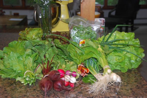 Do you belong to a CSA (Community Supported Agriculture)? :  wedding csa community supported agriculture JuneCSA