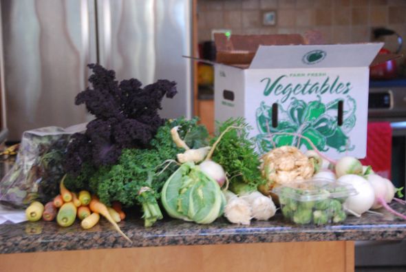 Do you belong to a CSA (Community Supported Agriculture)? :  wedding csa community supported agriculture NovemberCSA