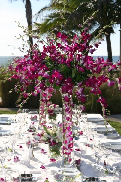 Please tell me the name of this flower. :  wedding flowers flower centerpieces Pretty Flowers