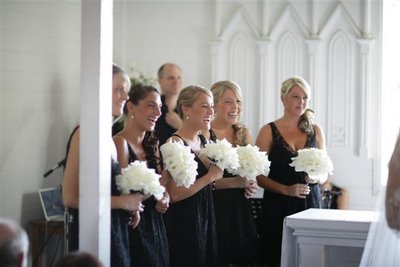 Help! I love these dresses! :  wedding 06BR0515