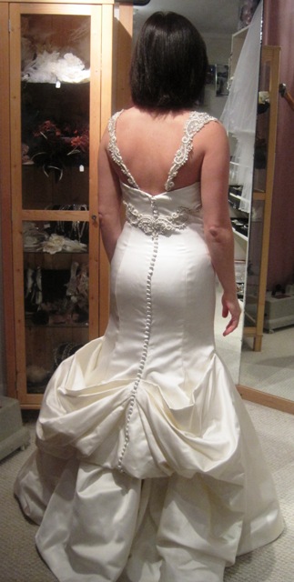 Final Fitting YAY - - 9 more days!!! (pix) :  wedding Ffdress1