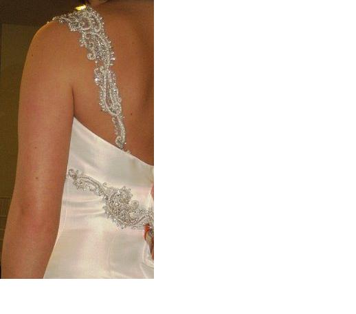 I think I've overshopped for dresses :  wedding Straps2