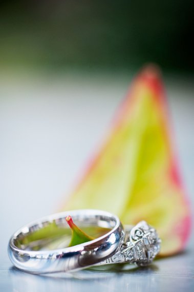 Pro ring photos... Let me see them! :  wedding 31654 530253376473 65200717 31420341 7135823 N