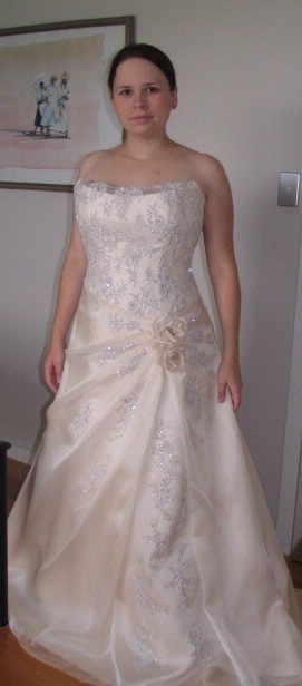 Show us your dress! : wedding dress the one wedding dress wedding gown bridal gown Dress