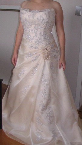 demetrios brides..are you out there?? :  wedding Dress3