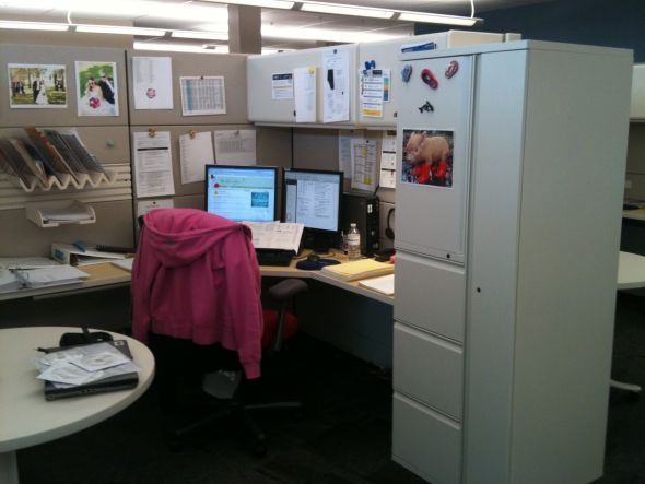 Do you decorate your office? :  wedding office work job cubicle decoration Cube 3