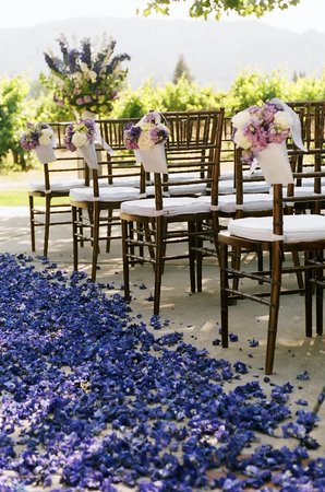 Where to find royal blue petals? :  wedding royal blue petals larkspur Blue Aisle