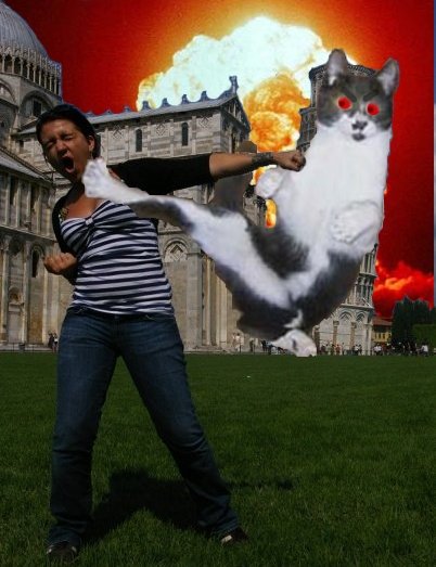 Type your first name into google and show me the first image that pops up. :  wedding Catsplosion